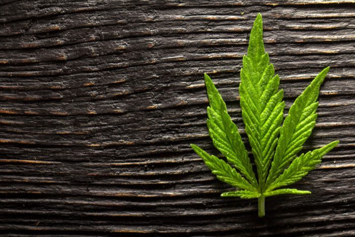 hemp wood with cannabis leaf on top