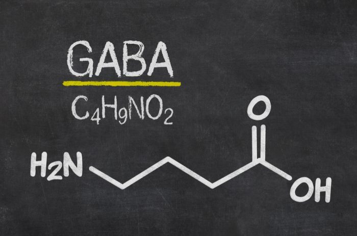 GABA for the GABA receptor written in chalk