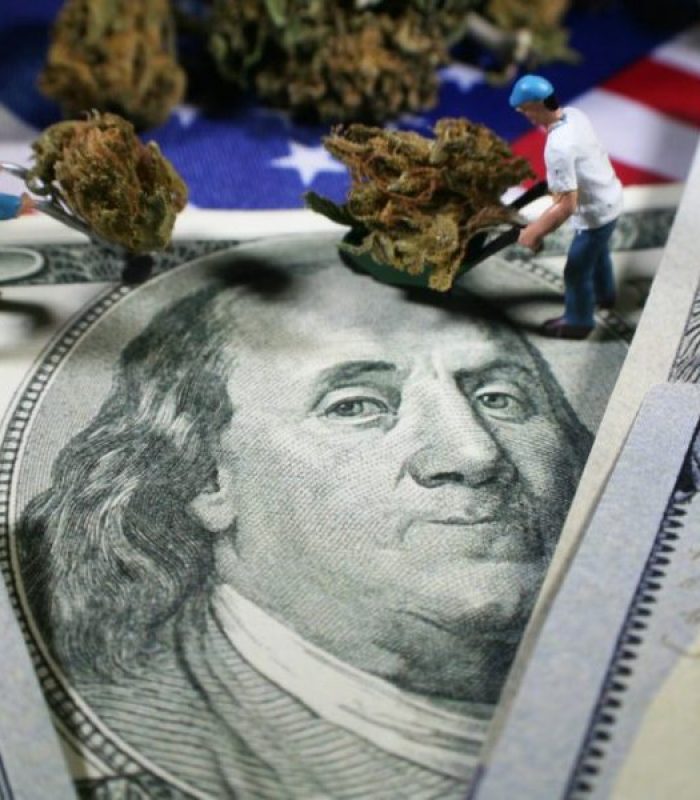 Cannabis Industry Jobs Are Coming By The Thousands!