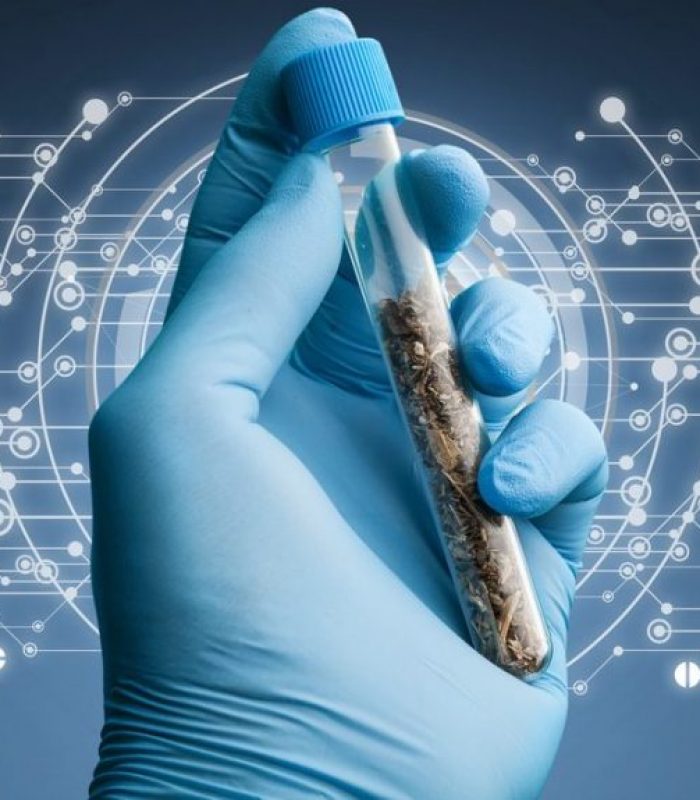 Win55: The Synthetic Cannabinoid That Dominates Research