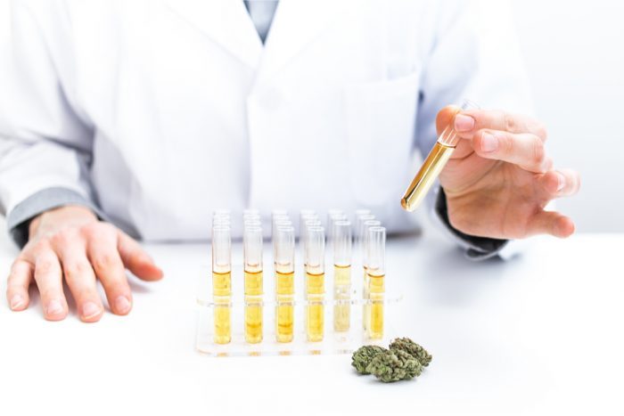cannabis oil in test tubes