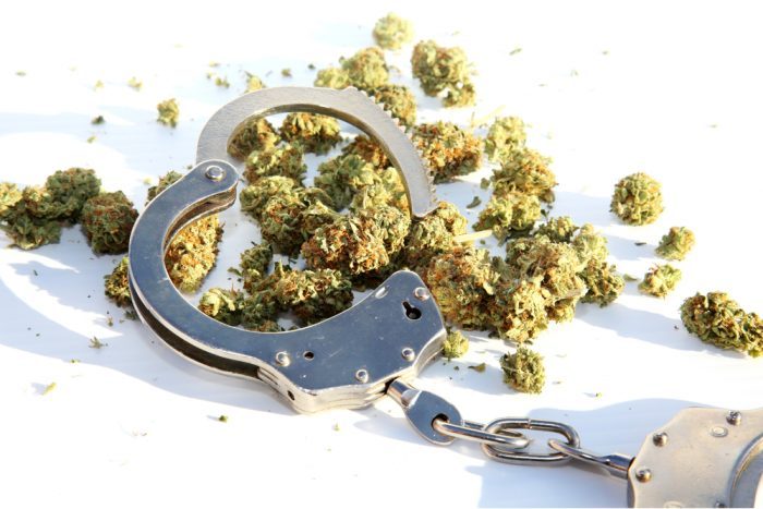 cannabis bud against hand cuffs
