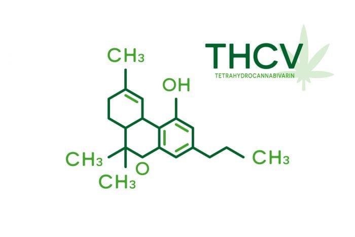cannabinoids, cannabinoid pathways, cannabis, medical cannabis, THCV, CBG, CBGa, CBD, CBDa, THC, THCa, THCVa
