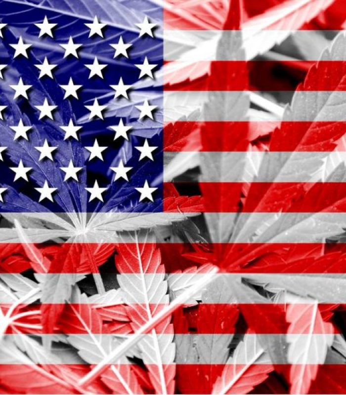 Gallup Poll: Most Americans Support Legalization of Cannabis