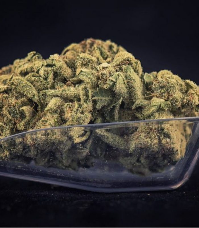 Top Shelf Cannabis: Which Strains Are The Real Deal?