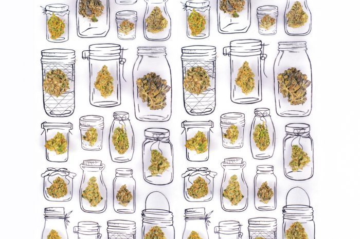 sketch of class jars with cannabis bud laying on top