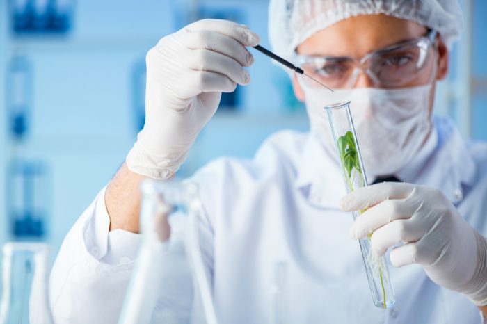 scientist with plant in test-tube