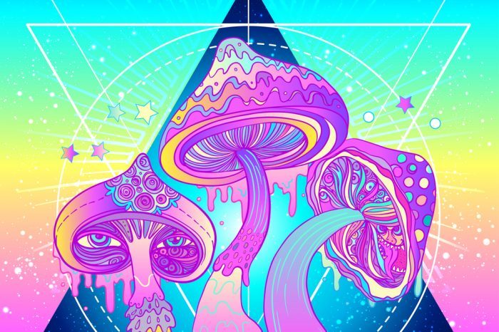 psychedelics mushrooms