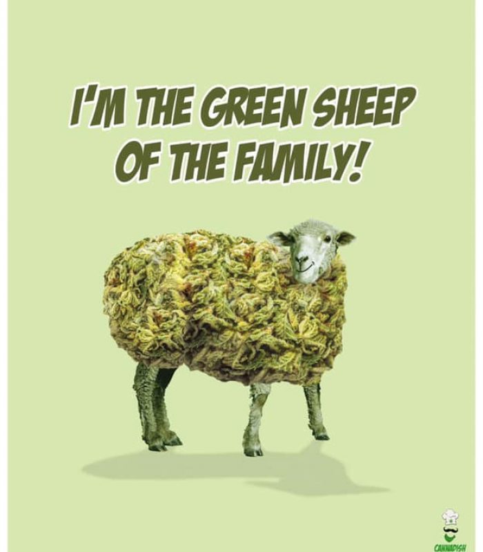 Being The "Green Sheep" Of The Family Can Be Hard