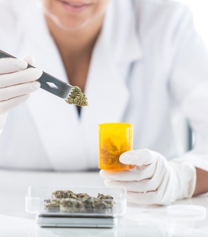 The Cannabis Pharmacist Will Soon Be Ready To Advise