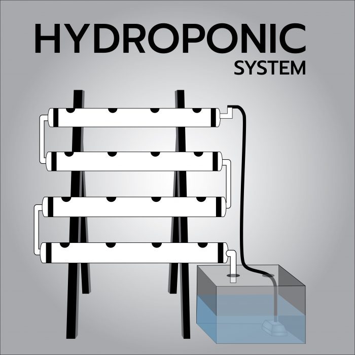 hydroponic systems graphic