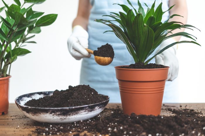 living soil in gardener's scoop
