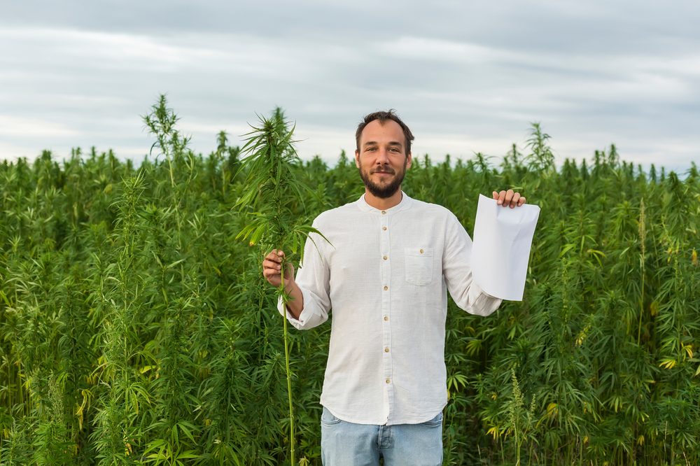 Hemp Paper May Cost More But the Benefits are Worth it