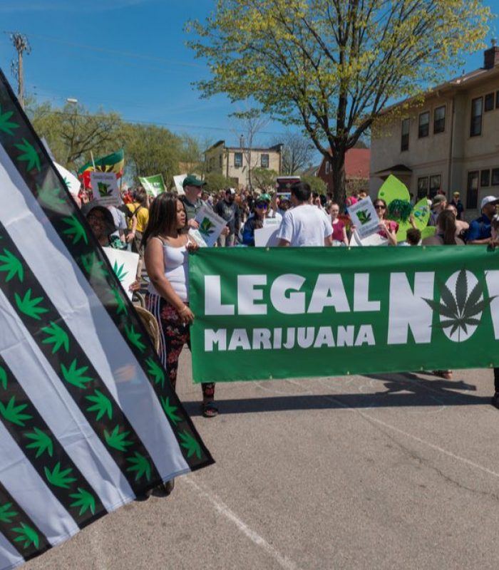 Will America Legalize Cannabis?