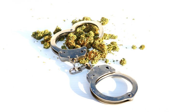 cannabis crime prepresetned by buds and handcuffs