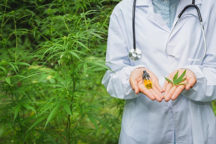 cbd bioavailability suggested by doctor holding cbd bottle in front of hemp field