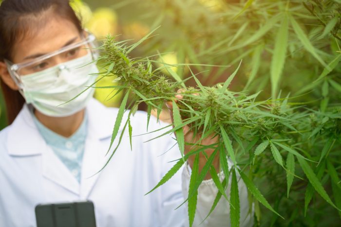 Bipartisan Letter To DEA Demanding Science Get Access To Dispensary Weed
