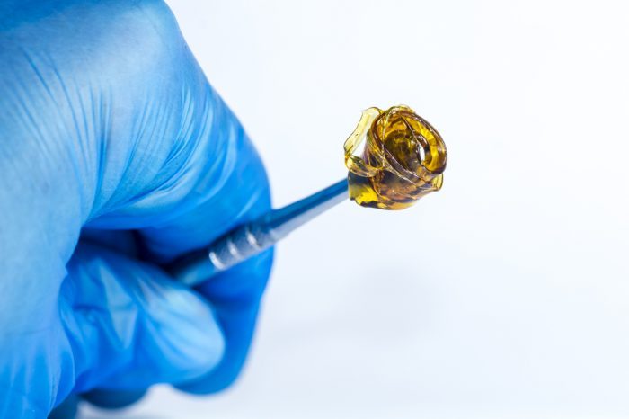butane hash oil on medical tool, held by gloved hand