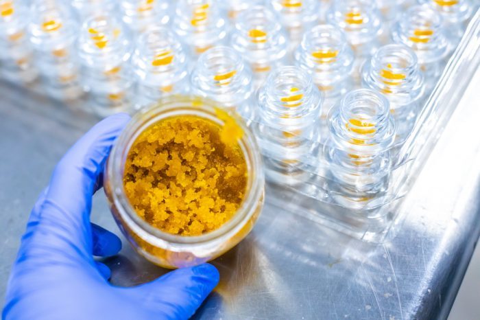 BHO: An Ultra Potent Extract
