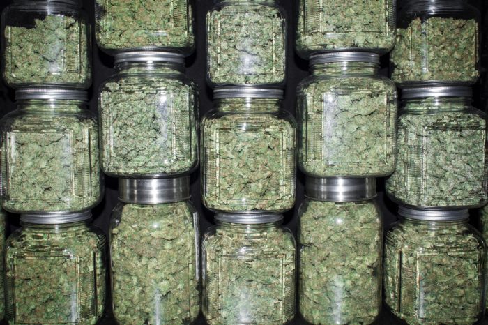 less chemo better result represented by jars of cannabis