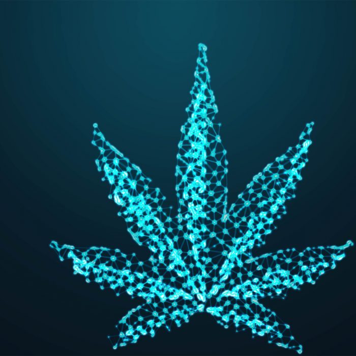Cannabis Technology Makes Life More Predictable