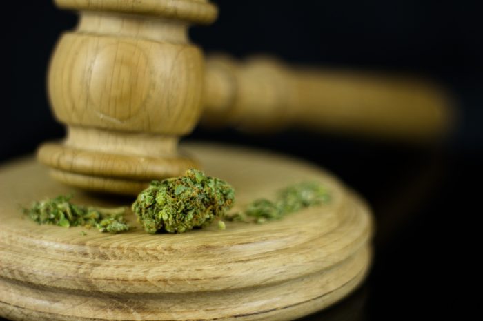 cannabis law reform represented by gavel and buds