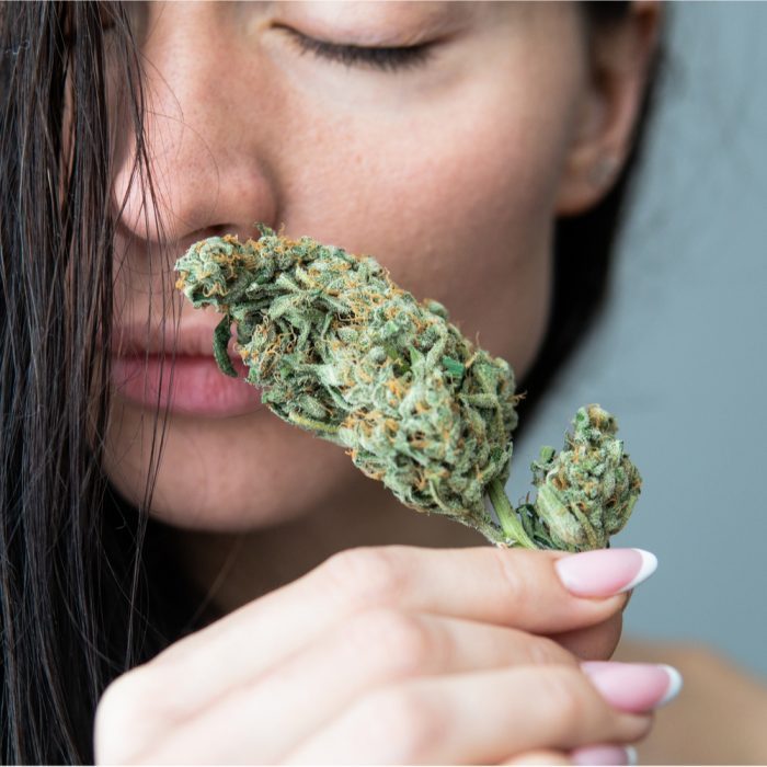 cbd lube hinted at by woman sniffing a cannabis bud sensually