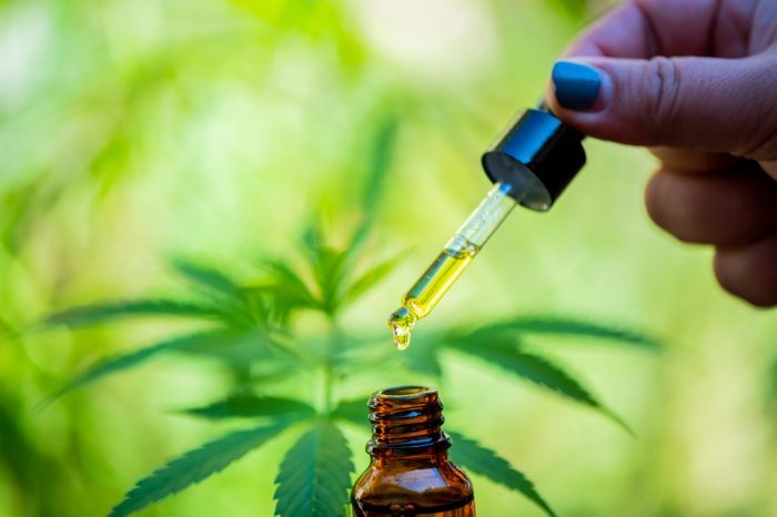 tumor treatment could be possible with THC oil like that in this picture