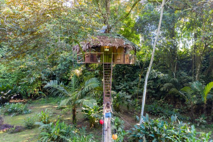 Cannabis Friendly Treehouse Vacation Spots in America