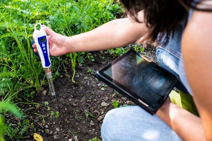 How Does pH Affect Plant Growth represented by woman testing soil with meter