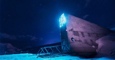 The Doomsday Seed Vault Stores Cannabis Too!