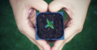 Sustainability in Cannabis Grows is Hard to Achieve