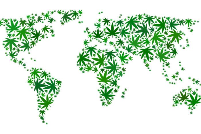 Will Upcoming WHO Vote on Cannabis Trigger Worldwide Legalization?