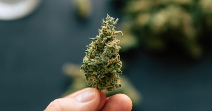 Is Cannabis An Essential Service?