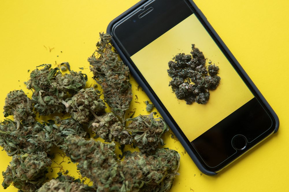 anecdotal reports represented by cannabis sitting next to smartphone