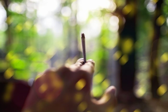 camping with cannabis represented by hand holding joint in forest