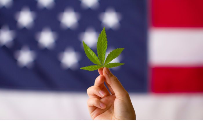 Cannabis and Legalization is as American Made as it Gets. What Gives?