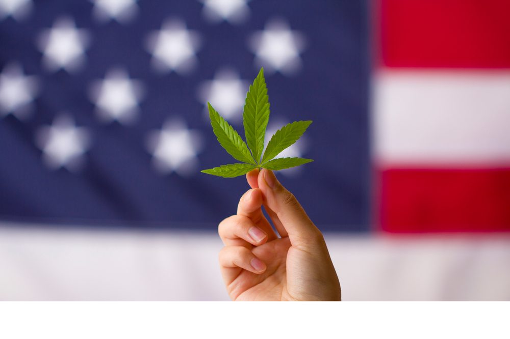 photo of Cannabis and Legalization is as American Made as it Gets. What Gives? image