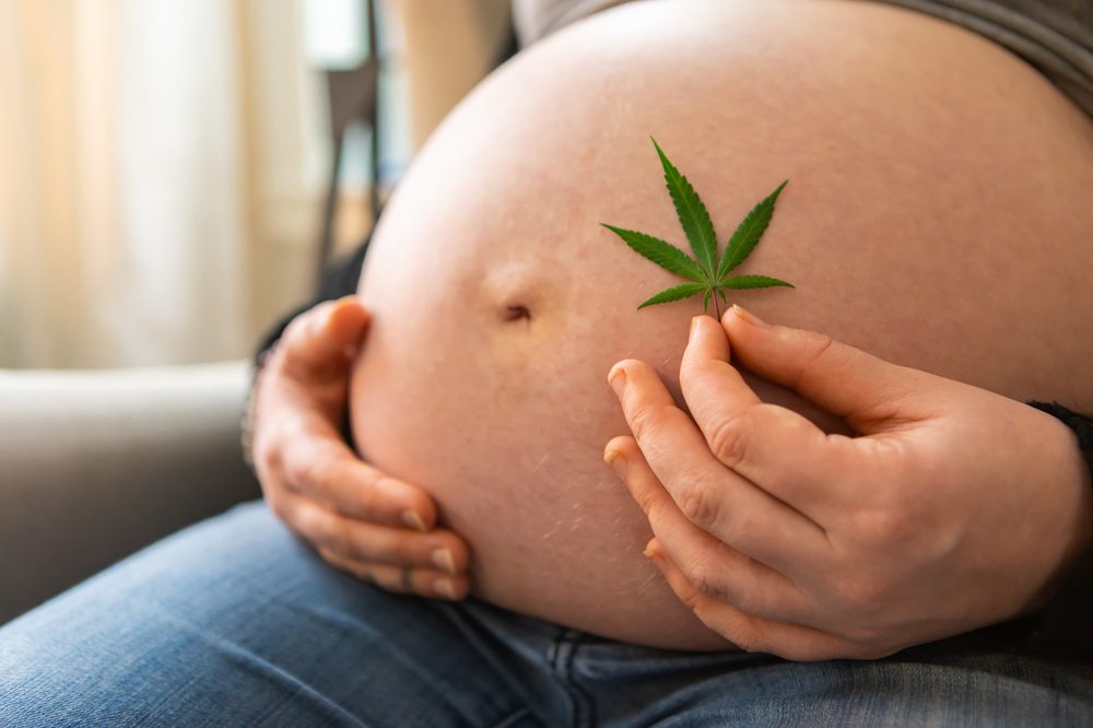 cbd use during pregnancy and cbd's impact on women's health represented by white woman's pregnant belly with cannabis leaf held in front of it