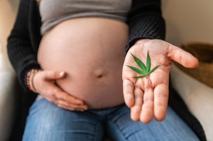 Prenatal Cannabis Exposure Linked To Impaired Fetal Brain Development. Again.