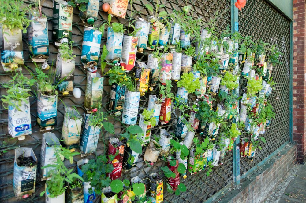 guerilla gardening represented by edible plants growing from old water bottles on fence