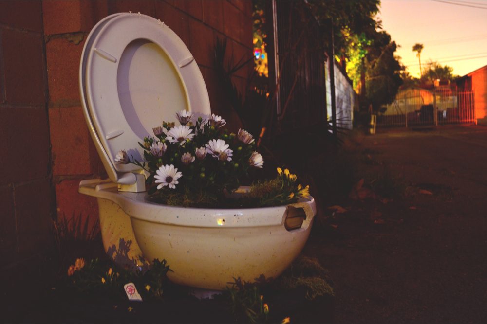 guerilla gardening represented by plants growing from toilet bowl in alley