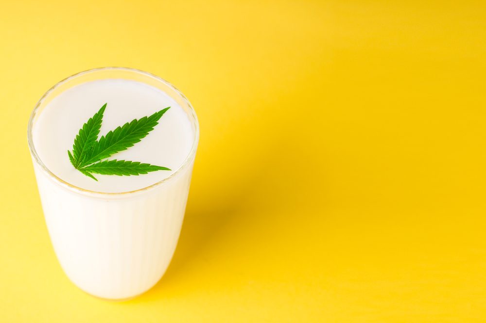 hemp milk in glass with cannabis leaf