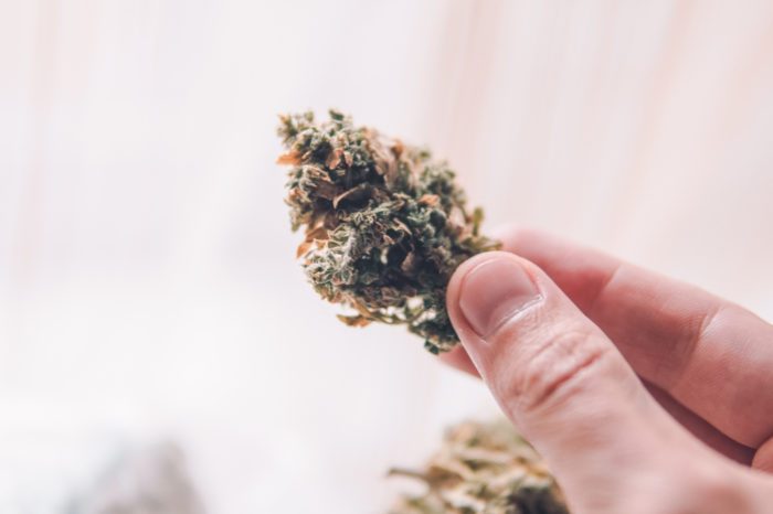 What is Potency and Does it Help Cannabis Patients?