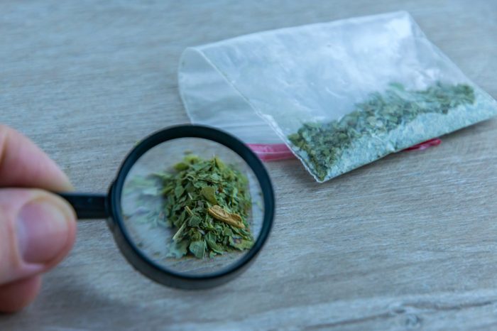 Synthetic Cannabinoids are no Medication for Diabetes