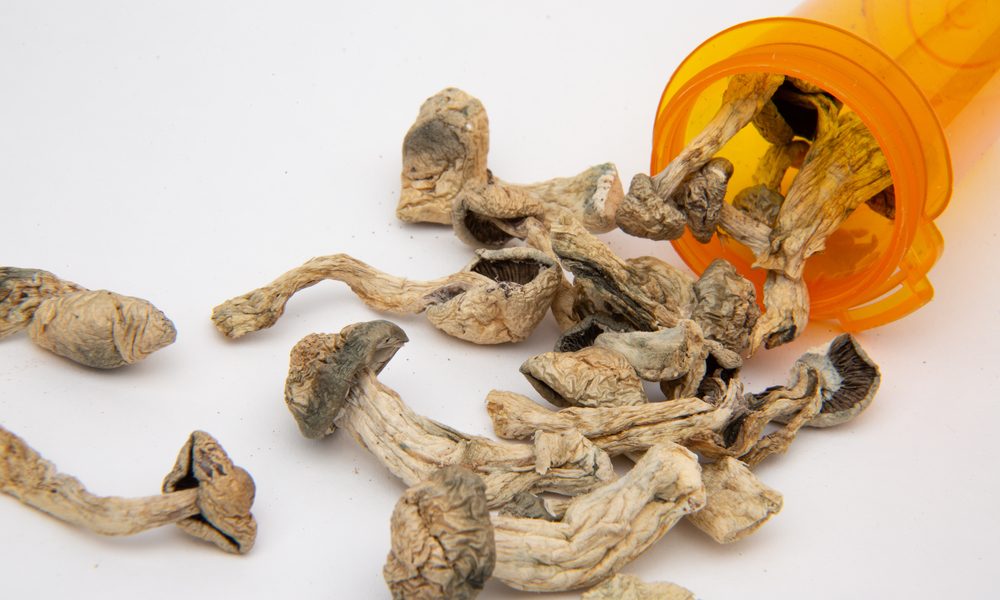 Will the Rise of Psilocybin Research Mean Legal Psychedelics?